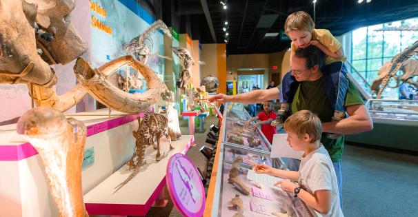 Father Sons Exhibits Museum