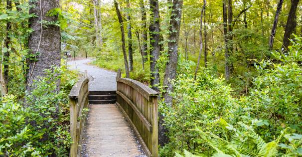 mmns trails green 1 lindsay mcmurtray