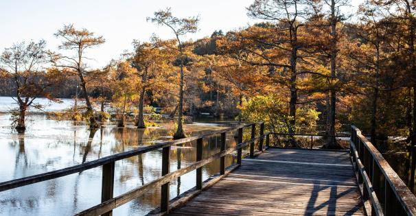 Spring Lake Wall Doxey State Park