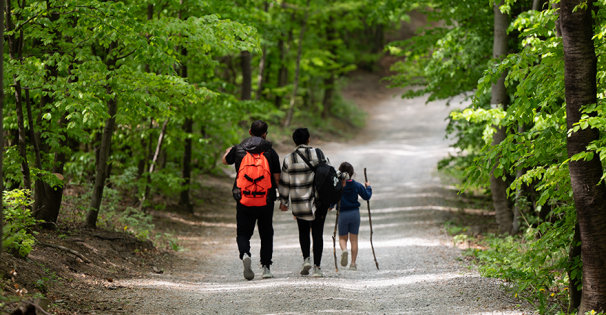 Mississippi State Parks Hiking